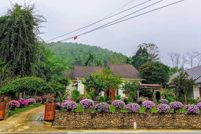 Gia chủ Thanh Hóa dựng nhà vườn 1.500m2 khác lạ, hàng xóm từ 'chê cười' đến khen - Báo VietnamNet