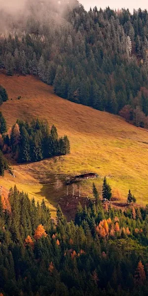 Mountain Landscape, Autumn Forest, Nature Scenery, Alpine Views 4K Wallpaper Background