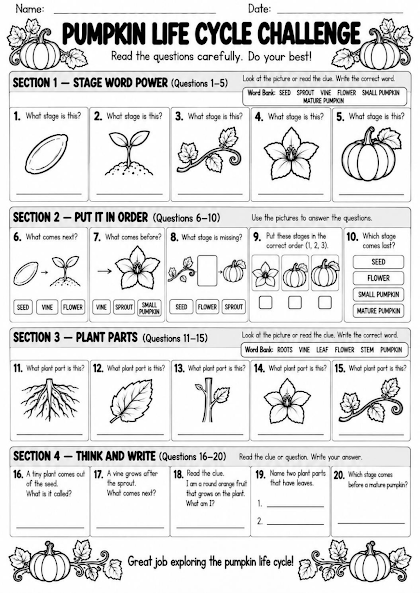 Pumpkin Life Cycle Challenge Worksheet