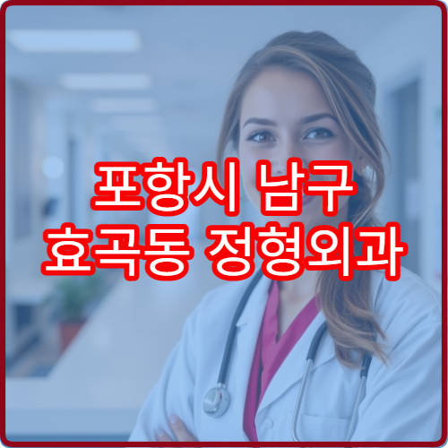 포항시 남구 효곡동 정형외과 설날 연휴 응급진료 병원 정보