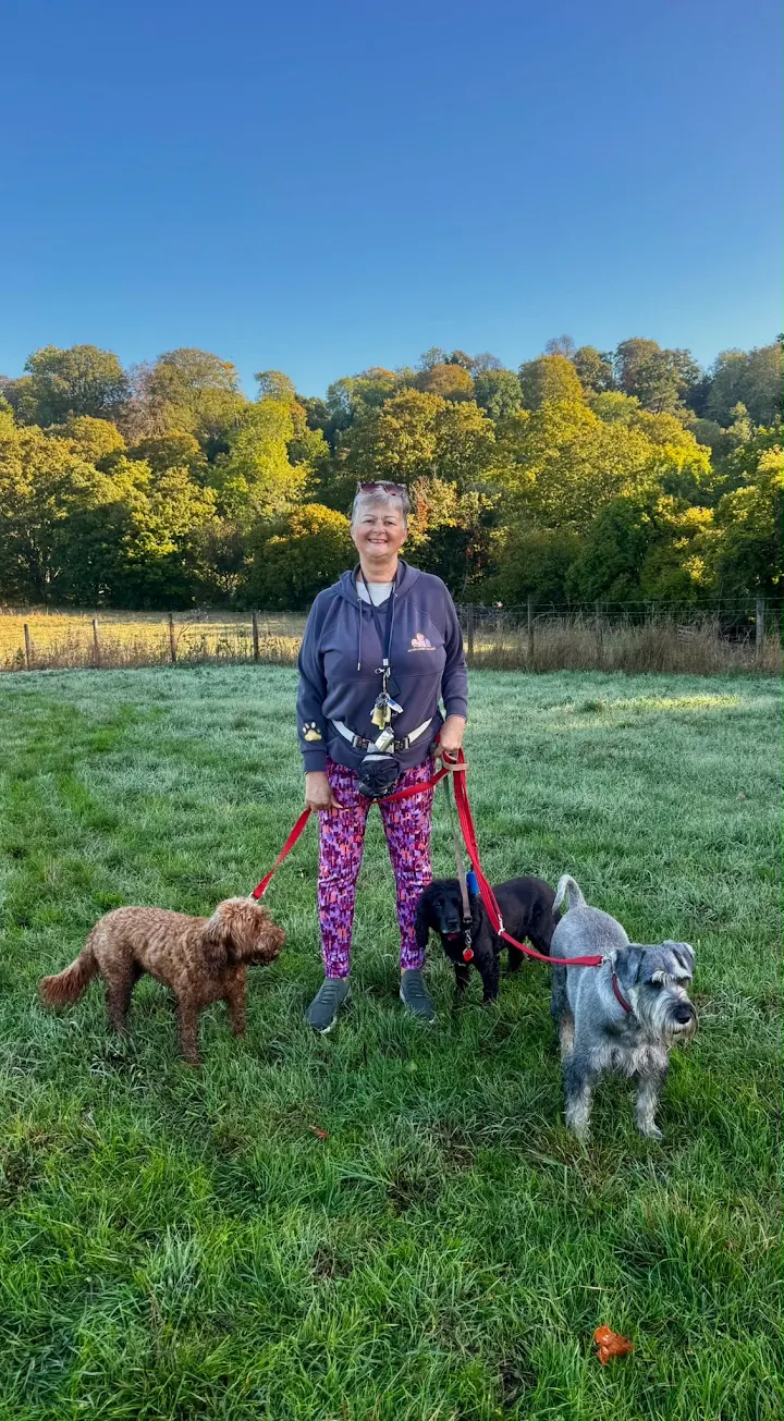 Trina on a countryside walk in a field near Trowbridge with three dogs