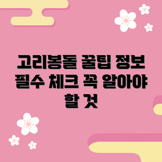 고리봉돌 정보, 고리봉돌 추천, 고리봉돌 활용, 고리봉돌 구매, 고리봉돌 특징