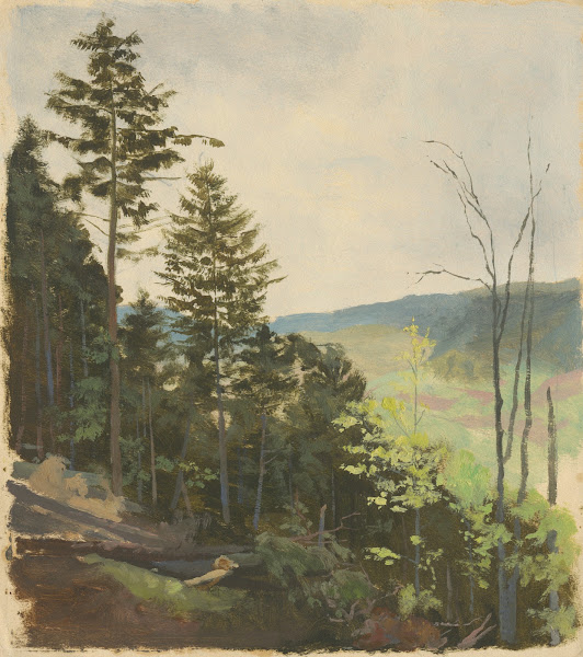 Scrub Hill 1850