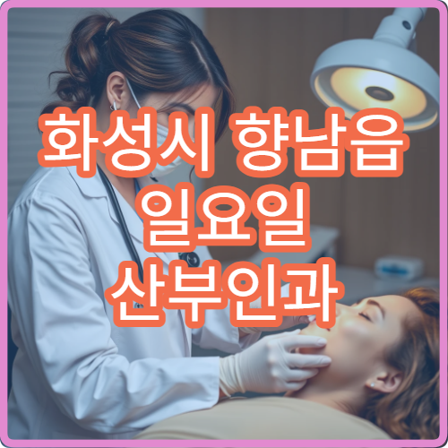 화성시 향남읍 일요일 산부인과 병원 안내 공휴일 산부인과 안내