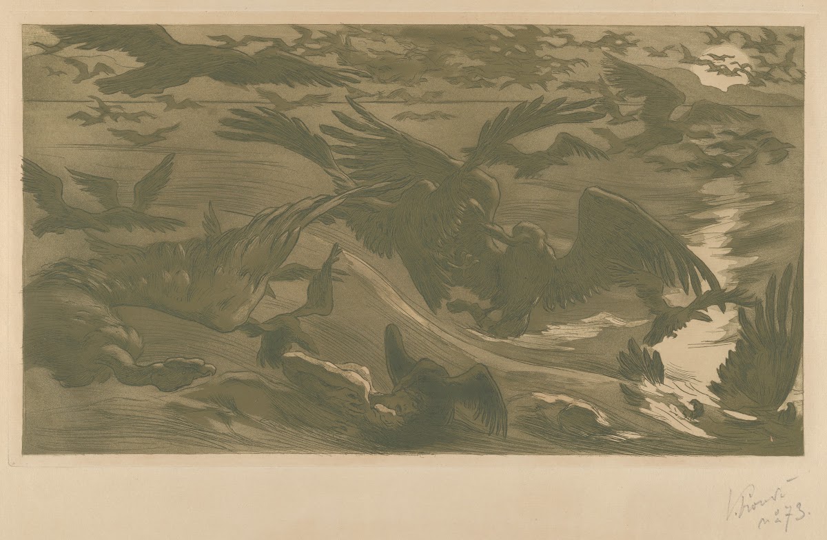 Birds of prey Ouiseux de proie 1893