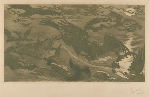Birds of prey Ouiseux de proie 1893