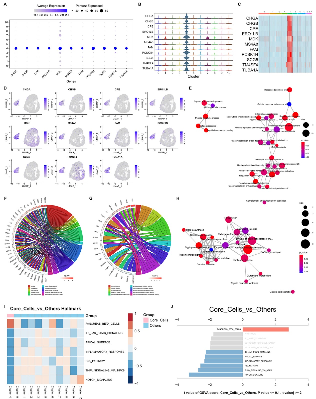 Single-cell transcriptomic data reveal the cellular heterogeneity of glutamine metabolism in gastric premalignant lesions and early gastric cancer