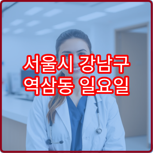 서울시 강남구 역삼동 일요일 정신건강의학과 상담 진료 안내