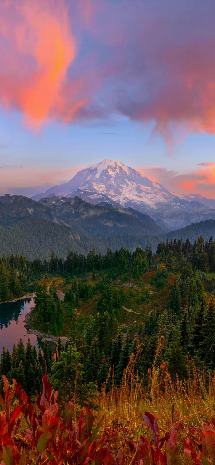 Mount Rainier National Park Sunset - Nature Photography 2K iPhone Wallpaper (1644x3561)