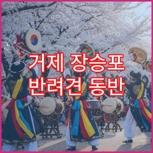 거제 장승포 반려견 동반 벚꽃길 산책 허용 구역 안전 코스 안내