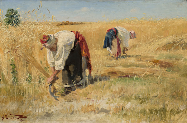 Harvest 1896