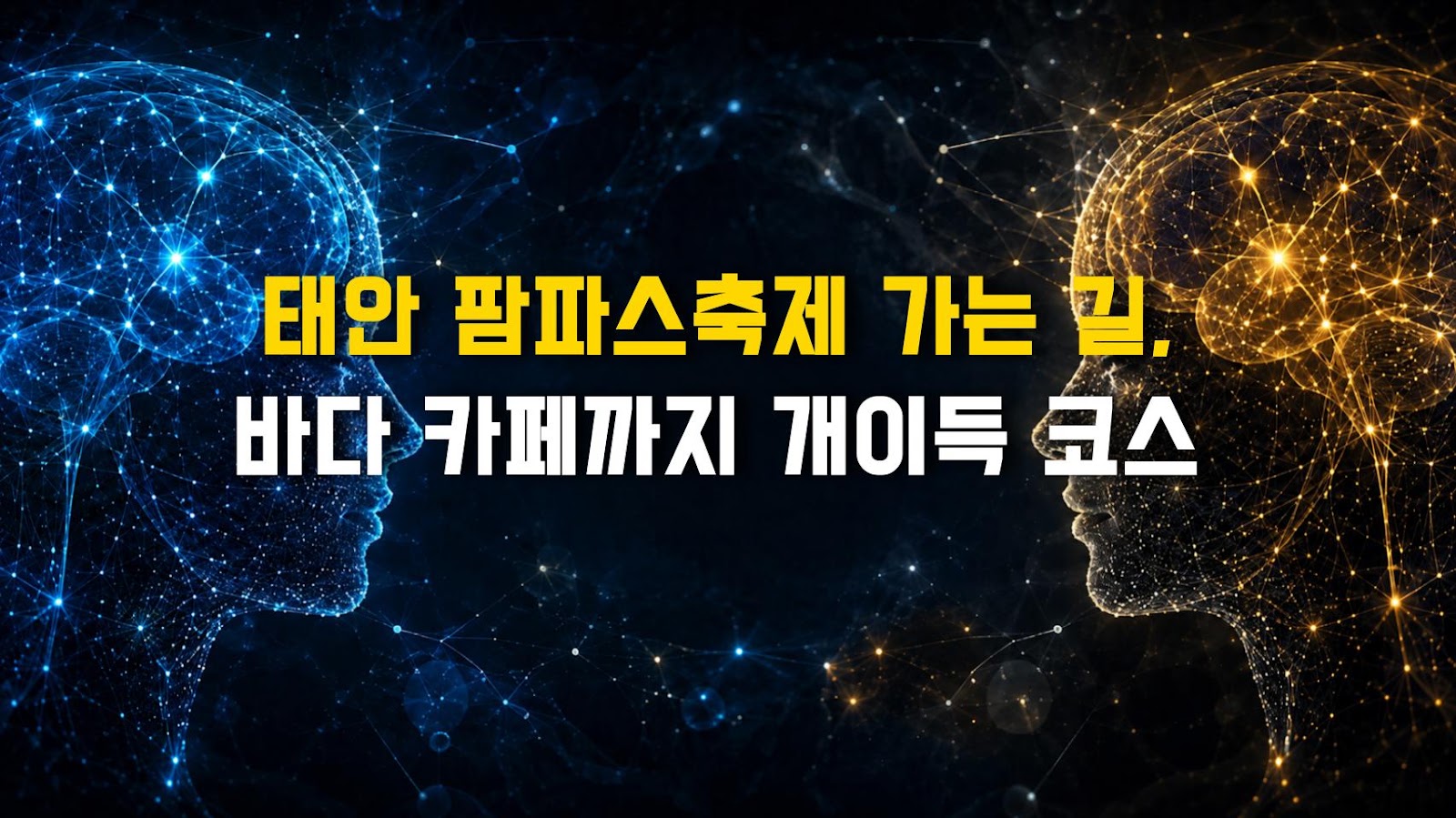 태안 팜파스축제 가는 길, 바다 카페까지 개이득 코스