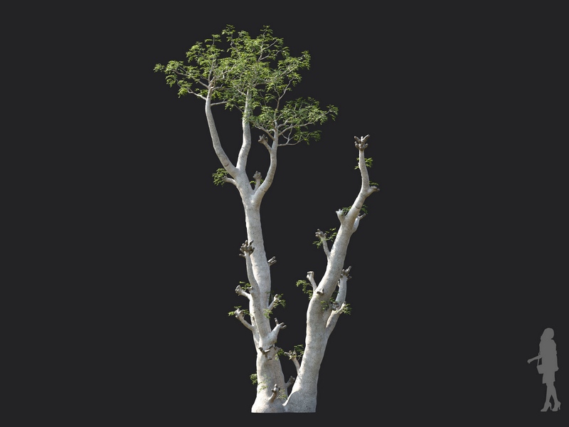 Maxtree - Plant Models Vol.130