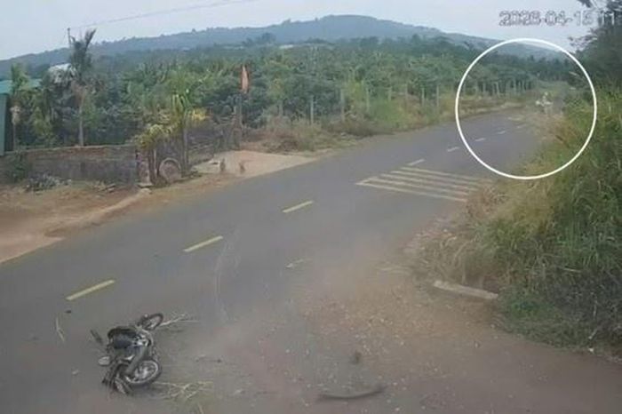Khoảnh khắc nam sinh Đắk Lắk gặp tai nạn - Tạp chí Tri thức