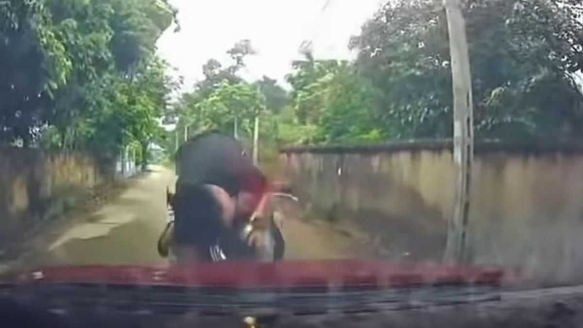 Vừa lái xe vừa mải xem điện thoại, người đàn ông lao thẳng vào đầu ô tô - Báo Sức Khỏe &amp; Đời Sống