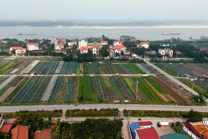 Nông nghiệp đô thị - Nơi đất đai khơi nguồn - Đài Phát thanh và truyền hình Hà Nội