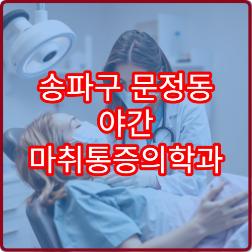 송파구 문정동 야간 마취통증의학과 진료 병원 만성 통증 치료 안내