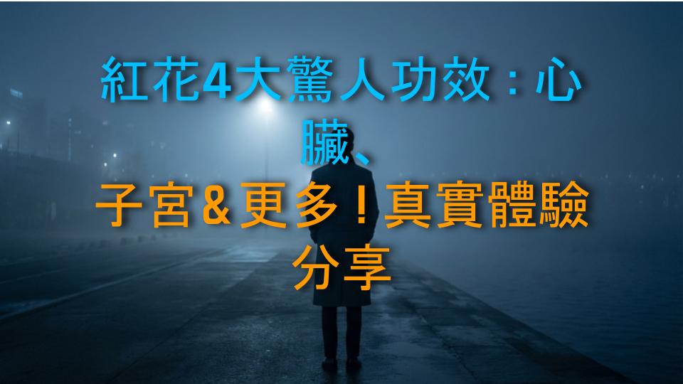 紅花4大驚人功效：心臟、子宮＆更多！真實體驗分享