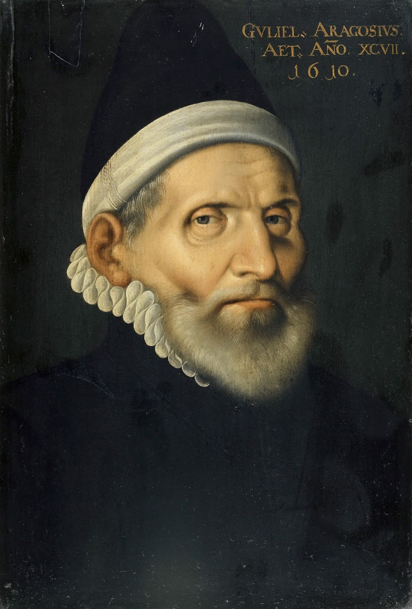 Portrait of the Professor of Medicine Wilhelm Aragosius from Toulouse 1610