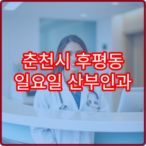 춘천시 후평동 일요일 산부인과 진료 병원 정보