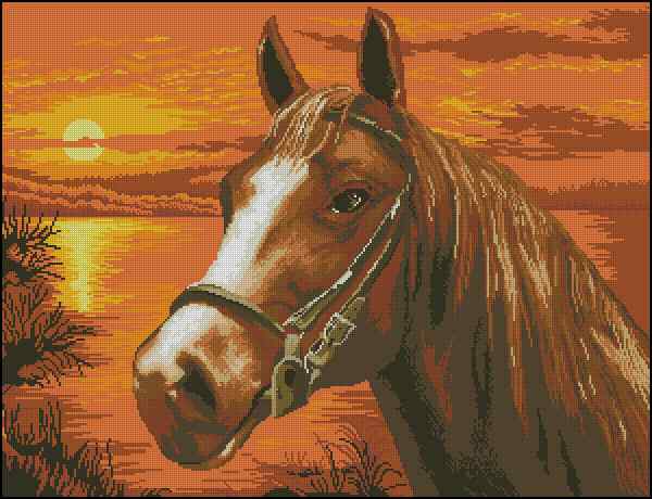 CMP 400160 Horse Sunset Portrait