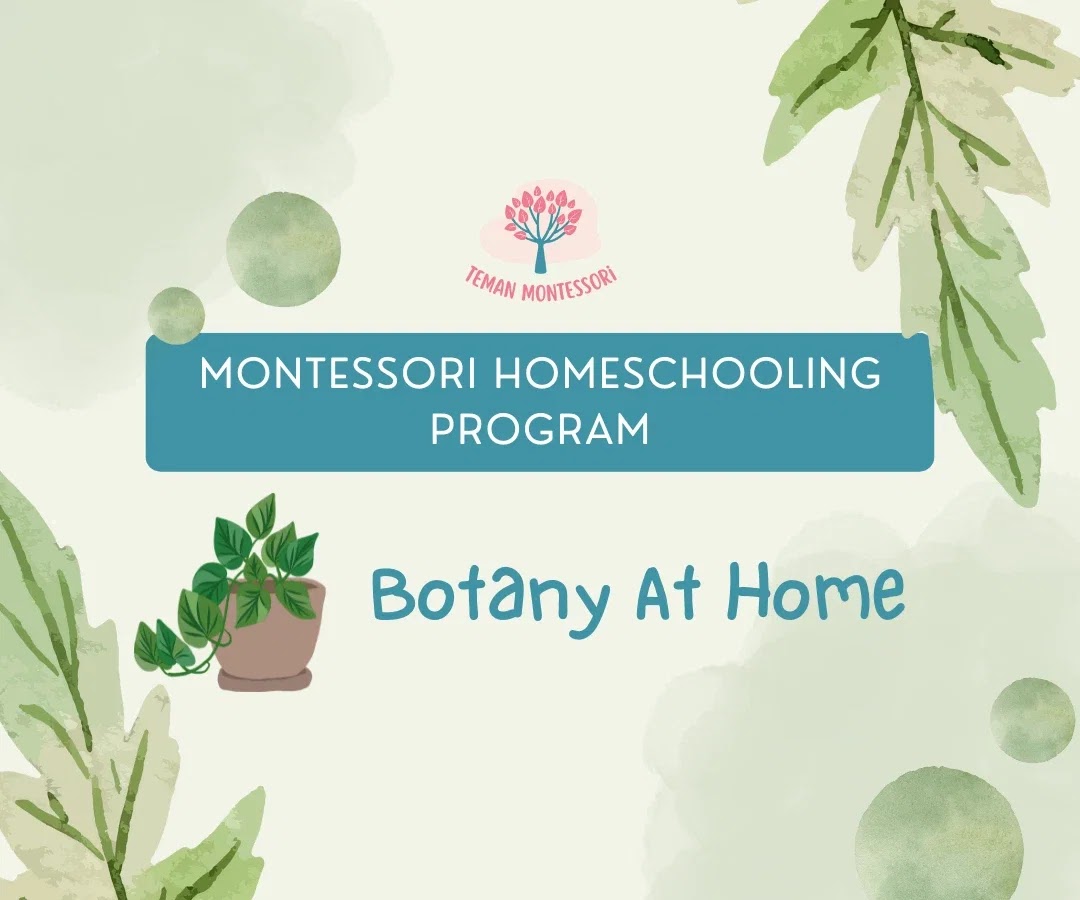 Botany At Home