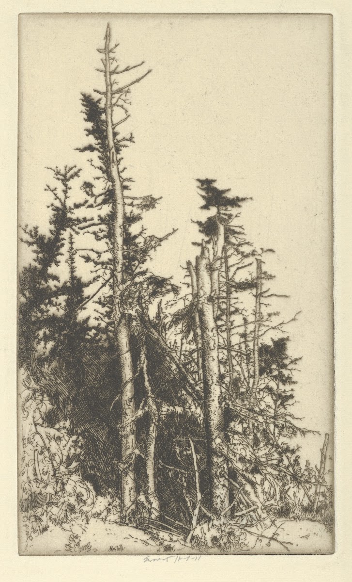 Skeletons 1900 1925