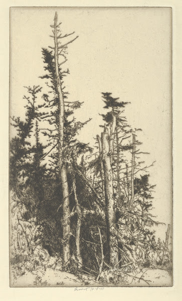 Skeletons 1900 1925