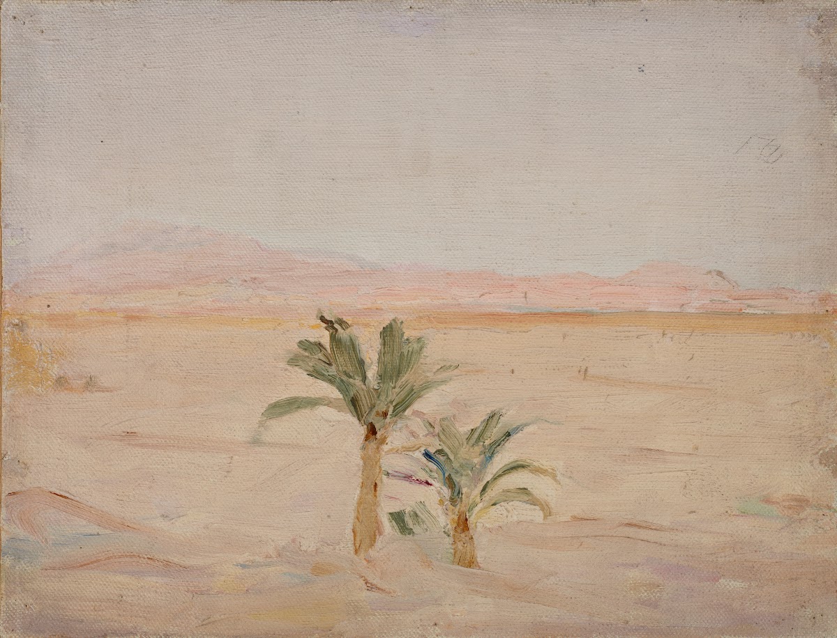 Sahara Desert 1909