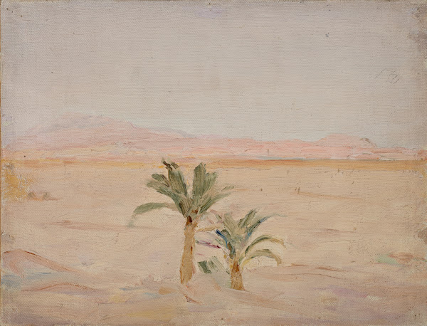 Sahara Desert 1909
