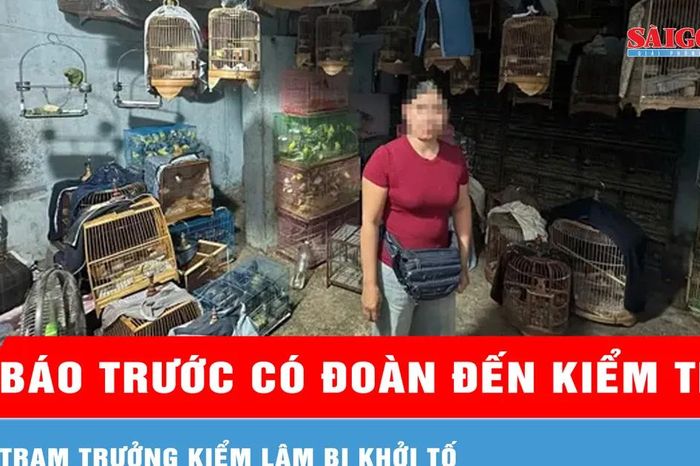 Báo trước có đoàn đến kiểm tra, trạm trưởng kiểm lâm bị khởi tố - Báo Sài Gòn Giải Phóng