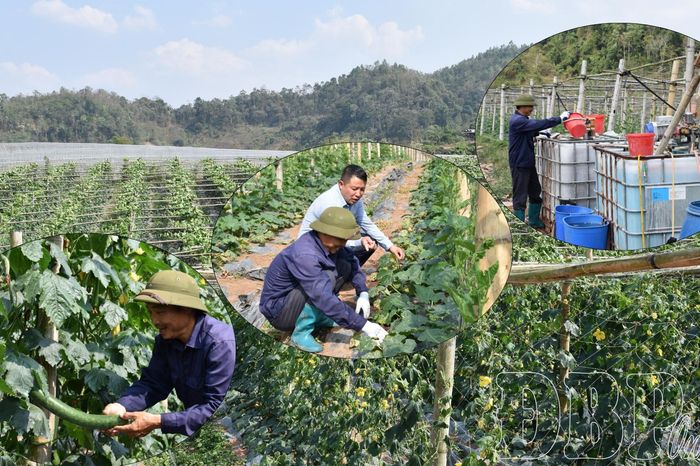 Cơ giới hóa - đòn bẩy kinh tế nông thôn - Báo Điện Biên Phủ