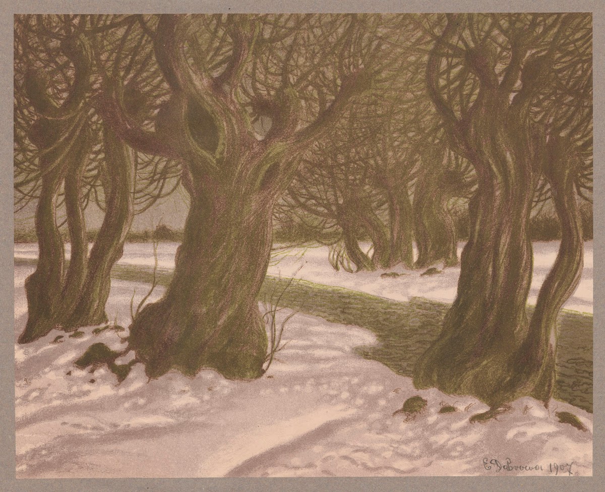 Willows in March 1907