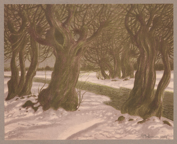 Willows in March 1907