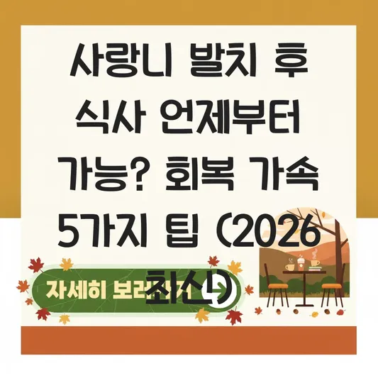 사랑니 발치 후 식사 언제부터 가능