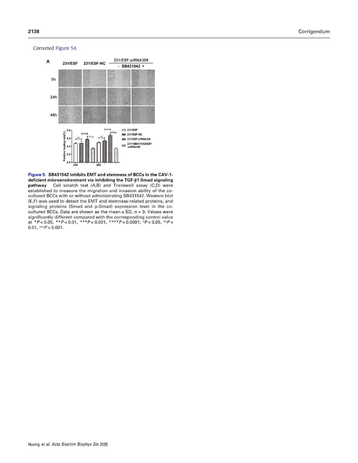 Corrigendum to 'Caveolin-1-deficient fibroblasts promote migration, invasion, and stemness by activating the TGF-β/Smad signaling pathway in breast cancer cells'