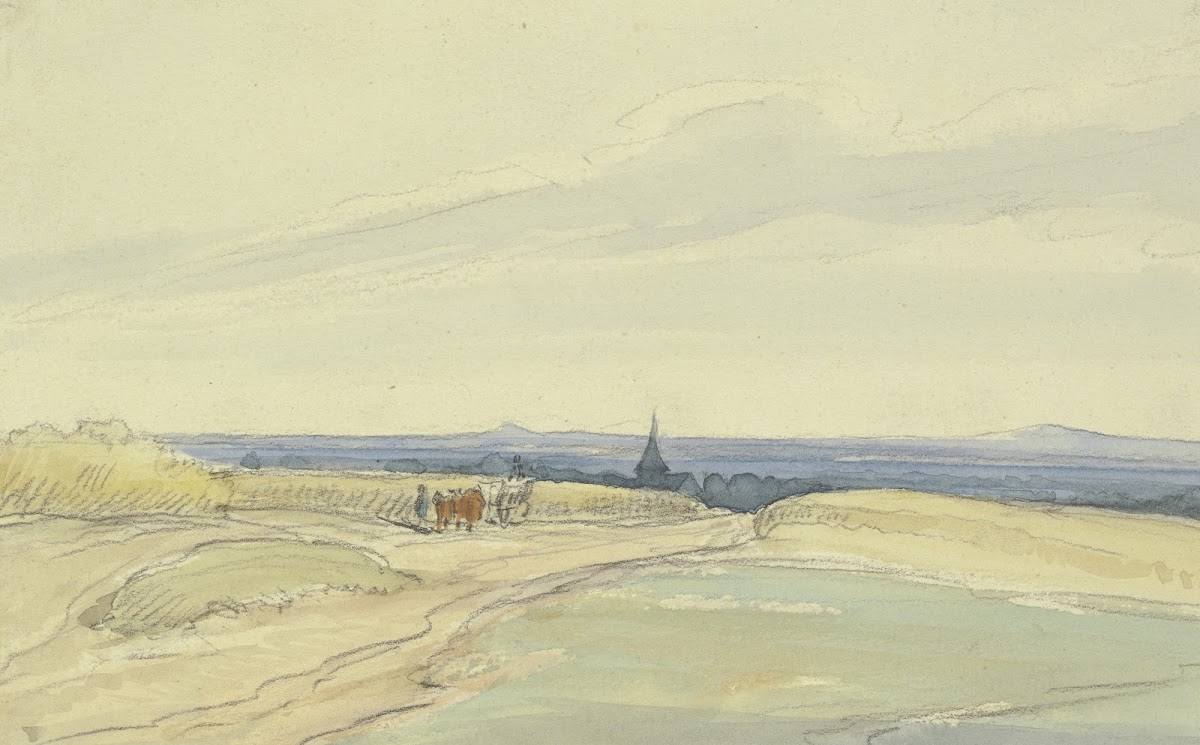 Flat landscape