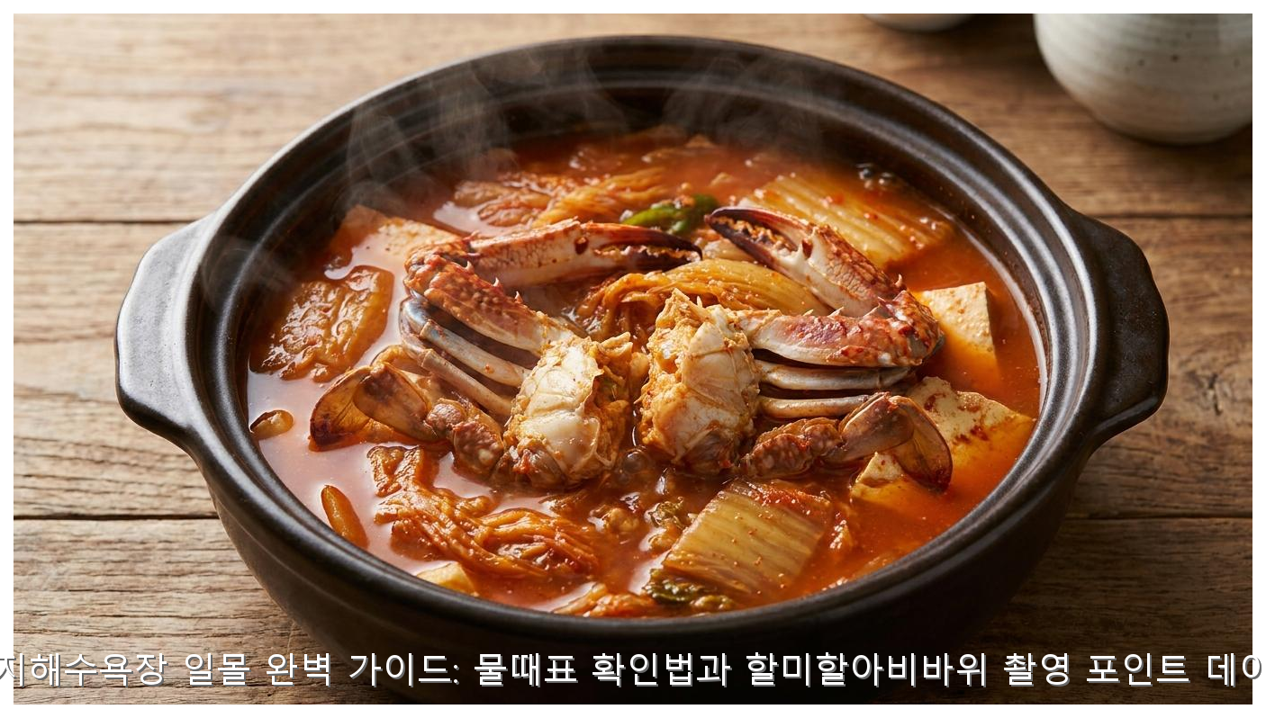 태안 꽃지해수욕장 일몰 완벽 가이드: 물때표 확인법과 할미할아비바위 촬영 포인트 데이터 분석 핵심 안내 및 분석 인포그래픽 (6)