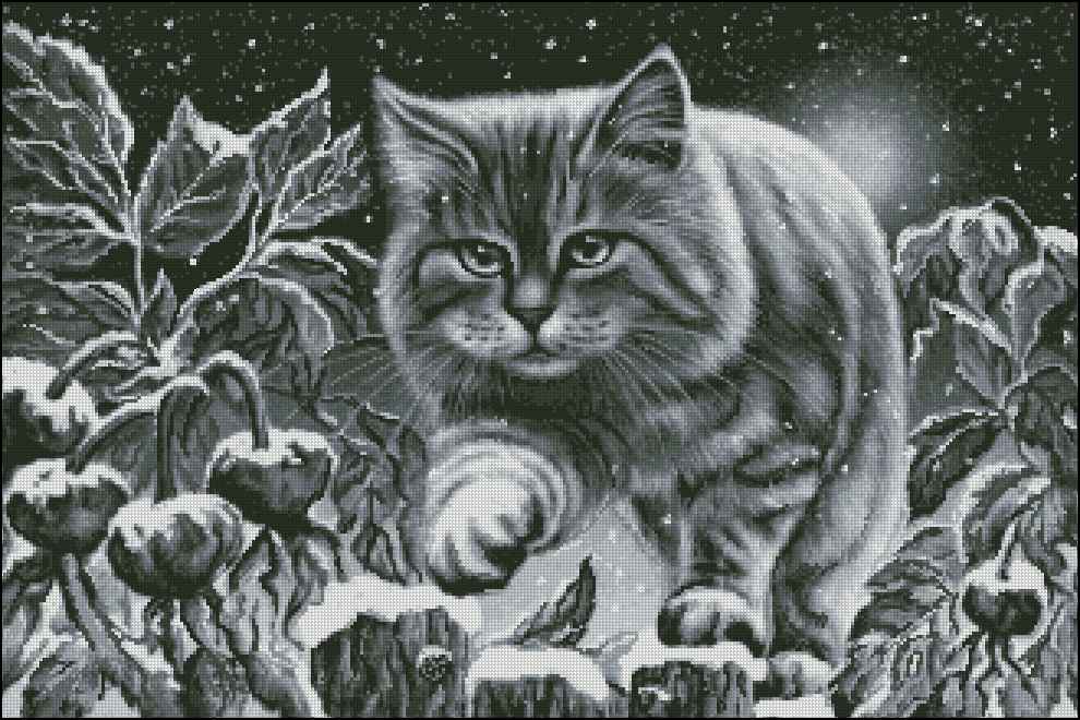 CMP 280114 Snow Cat