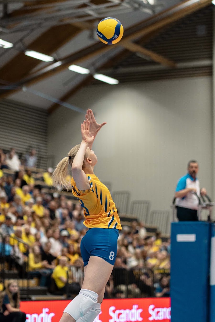 Sweden Slovenia 303