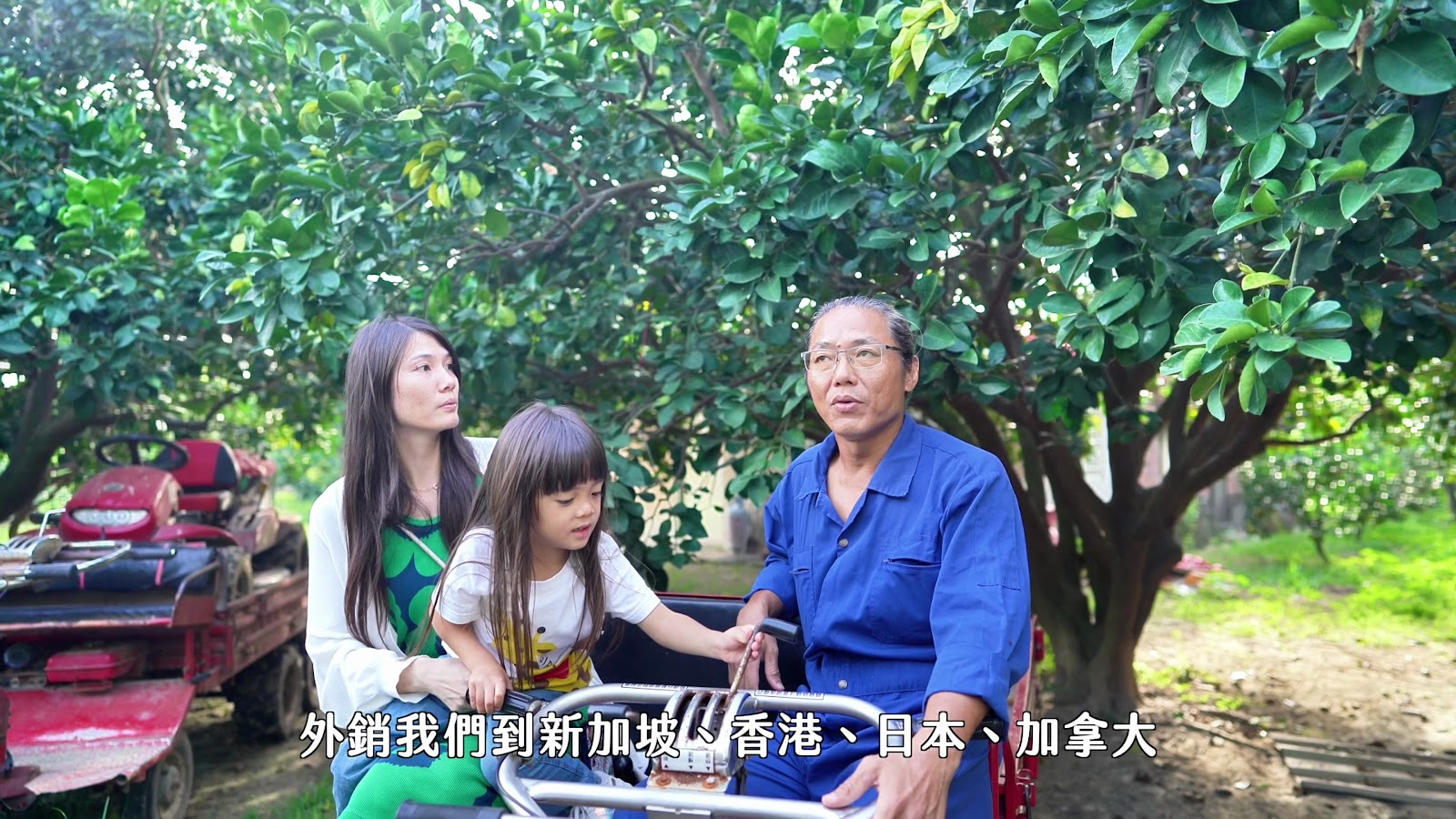 小夜台南水果趣 screenshot 6