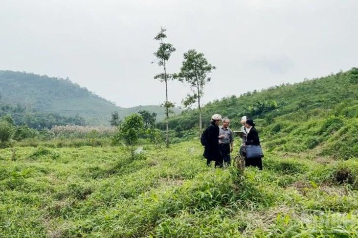 Mở rộng Vườn quốc gia Ba Vì: Giao đất và xác định ranh giới liệu đã đúng luật? Cần bảo đảm quyền lợi hợp pháp của người dân và doanh nghiệp - Báo Nhân Dân