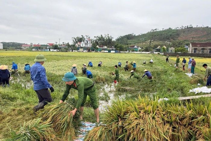 Những 'cánh tay nối dài' xuống đồng cứu lúa cùng nông dân - Tạp chí VnEconomy