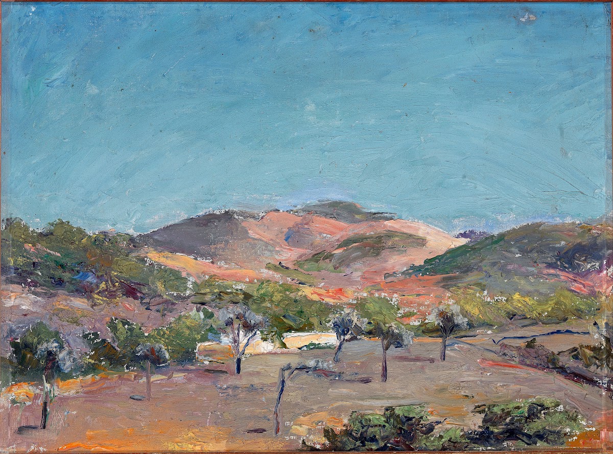 Hill with Trees