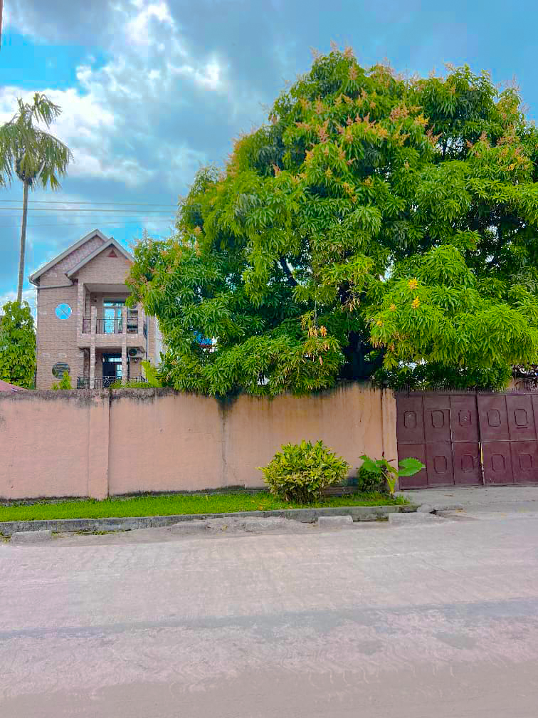 Avenue Kapamampio