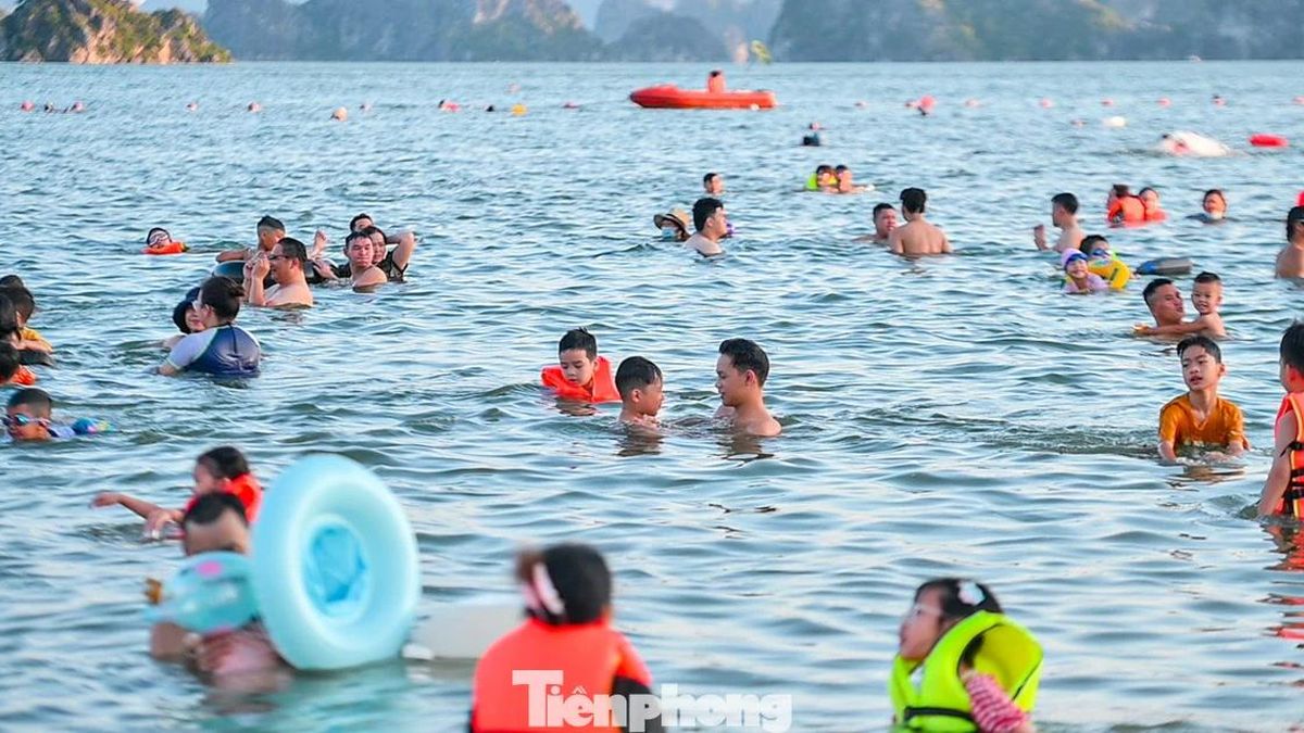 Nô nức đi biển Hạ Long - Báo Tiền Phong