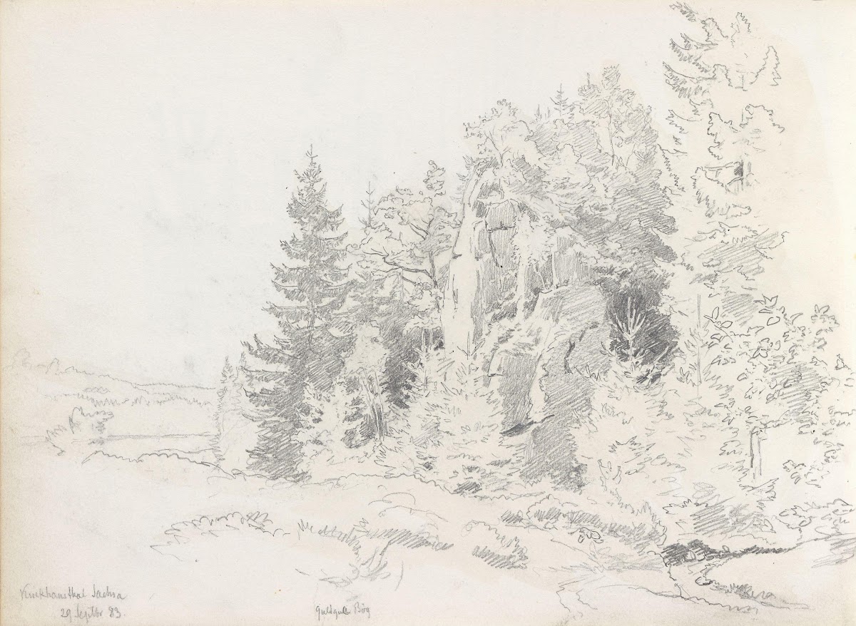 Fra Kuckanstal Bad Sachsa 1883