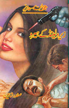 Zero Land K Hero by Safdar Shaheen PDF