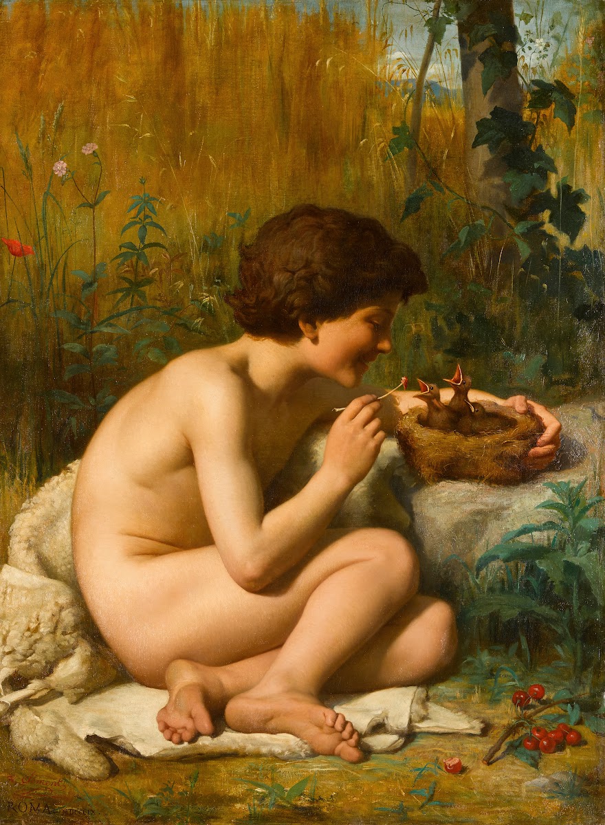 Le dénicheur doiseaux