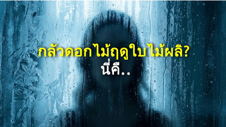 กลัวดอกไม้ฤดูใบไม้ผลิ? นี่คือวิธีที่ฉันเอาชนะภูมิแพ้เกสร!